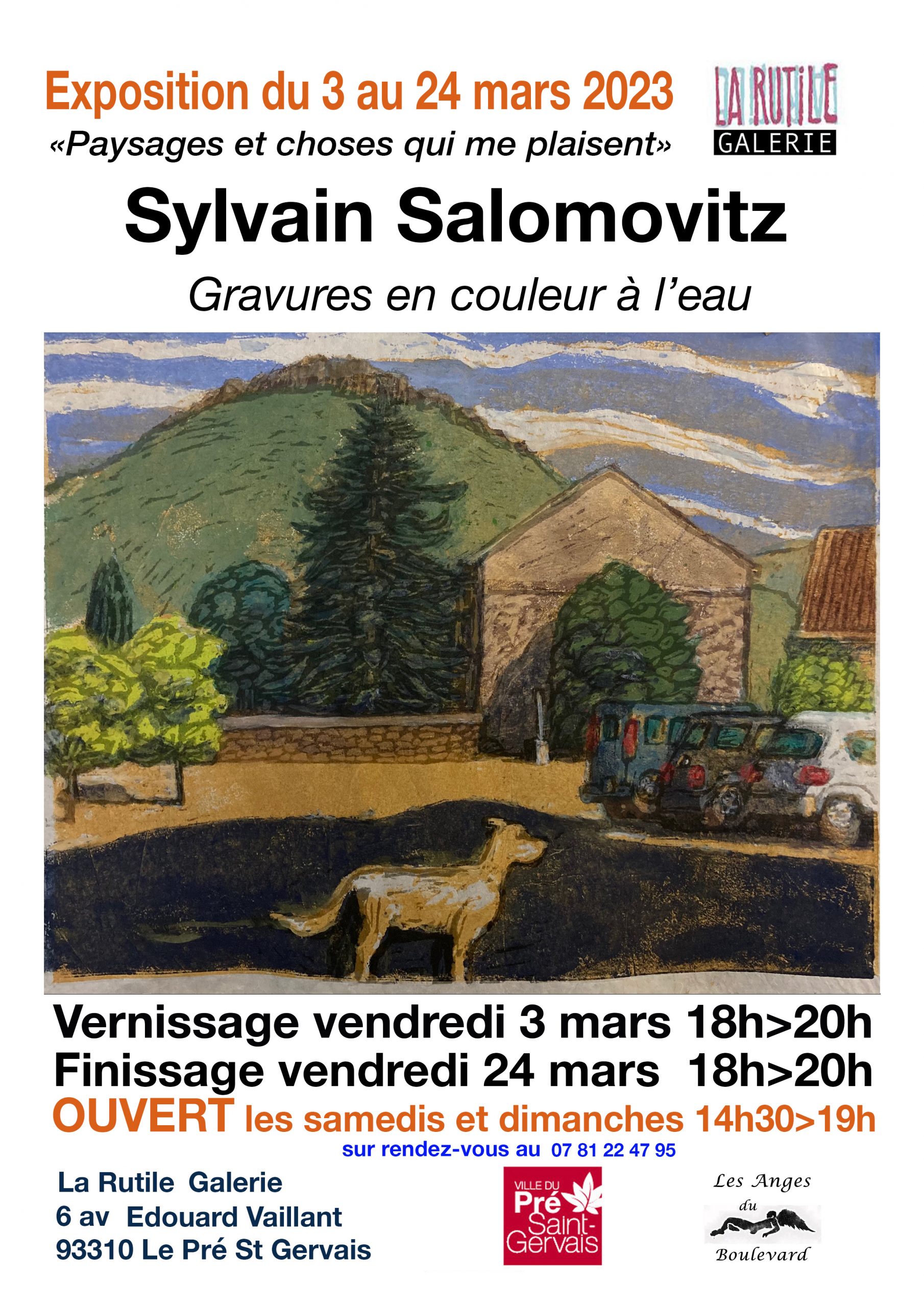 Sylvain Salomovitz expo affiche