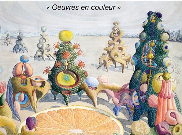 Œuvres en couleurs – Jacques HOUPLAIN